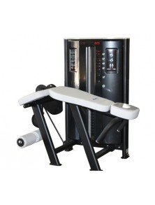 ISCHIOS ALLONGÉ CONCENTRIQUE / EXCENTRIQUE